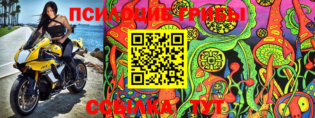 Псилоцибиновые грибы Psilocybine cubensis Краснокамск